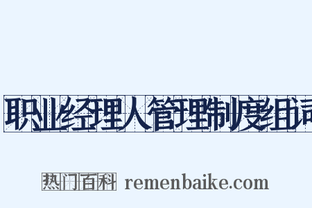 职业经理人管理制度组词是什么意思的图片
